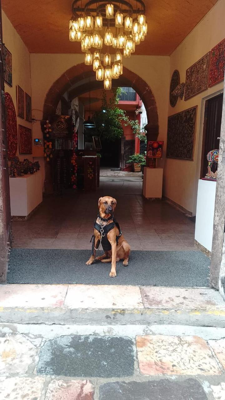 Aparthotel Sarita Centro Historico Sma San Miguel de Allende Ngoại thất bức ảnh